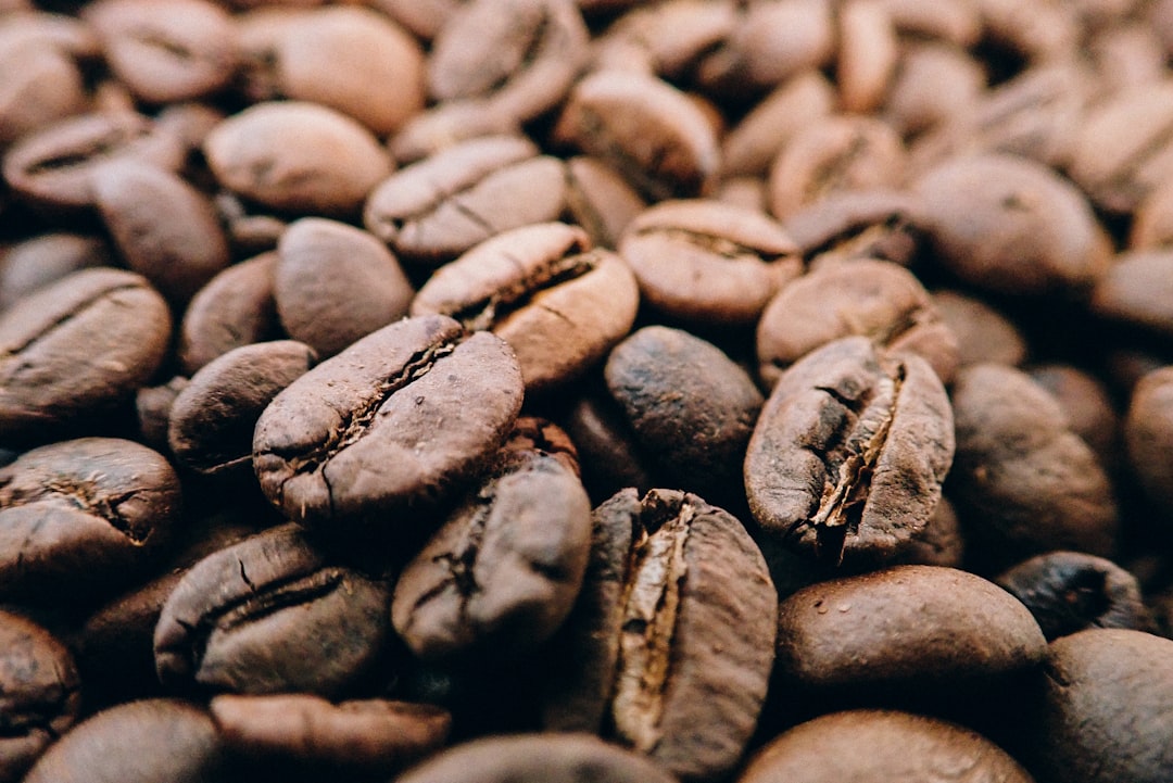 selective focus photography of brown coffee seeds