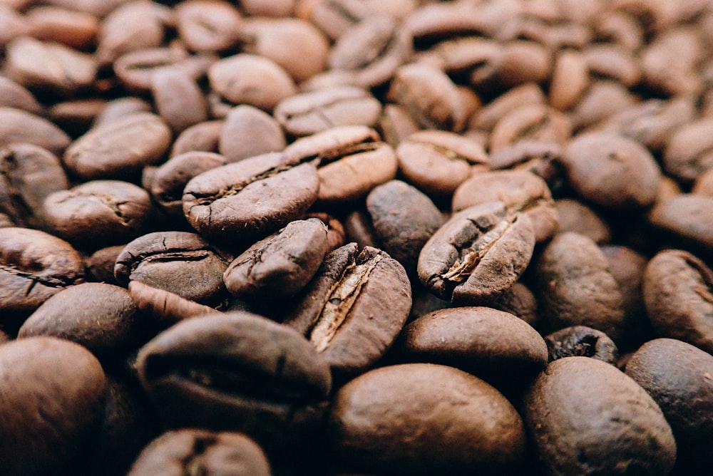 pile of coffee beans