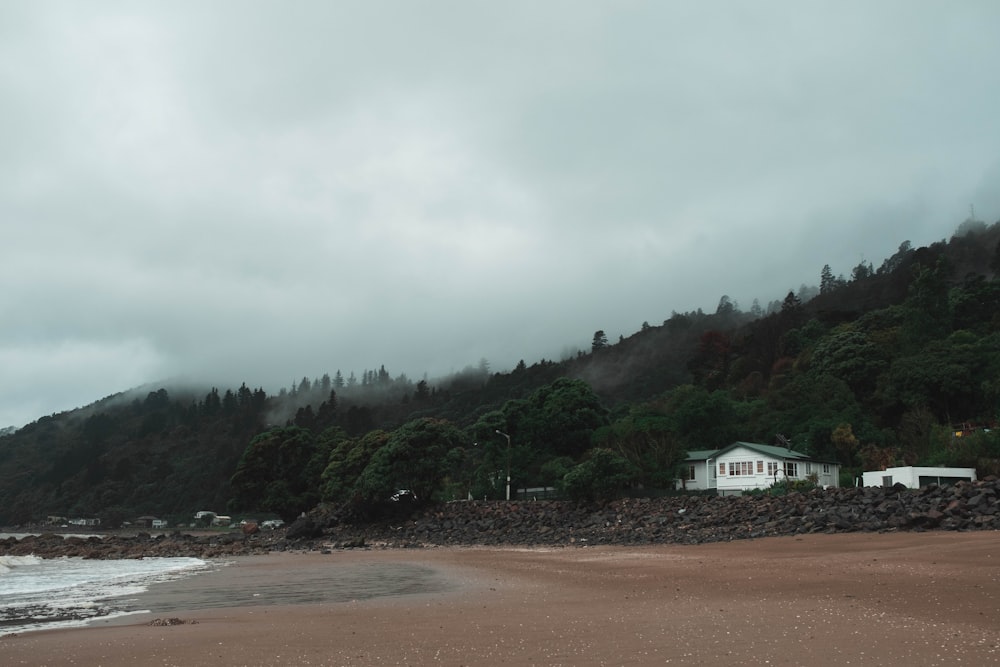 seashore during daytime