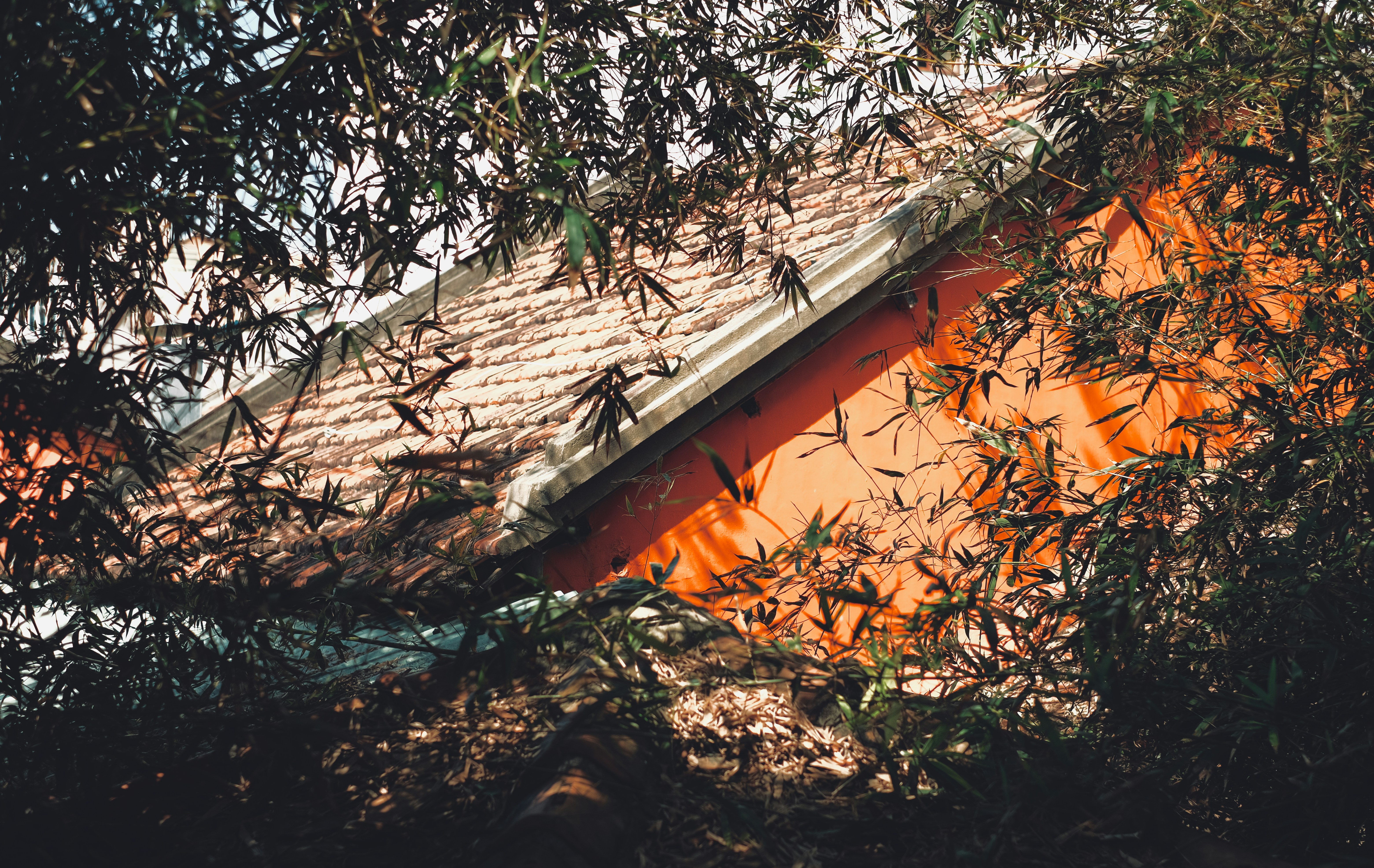 Photo by chauhoai