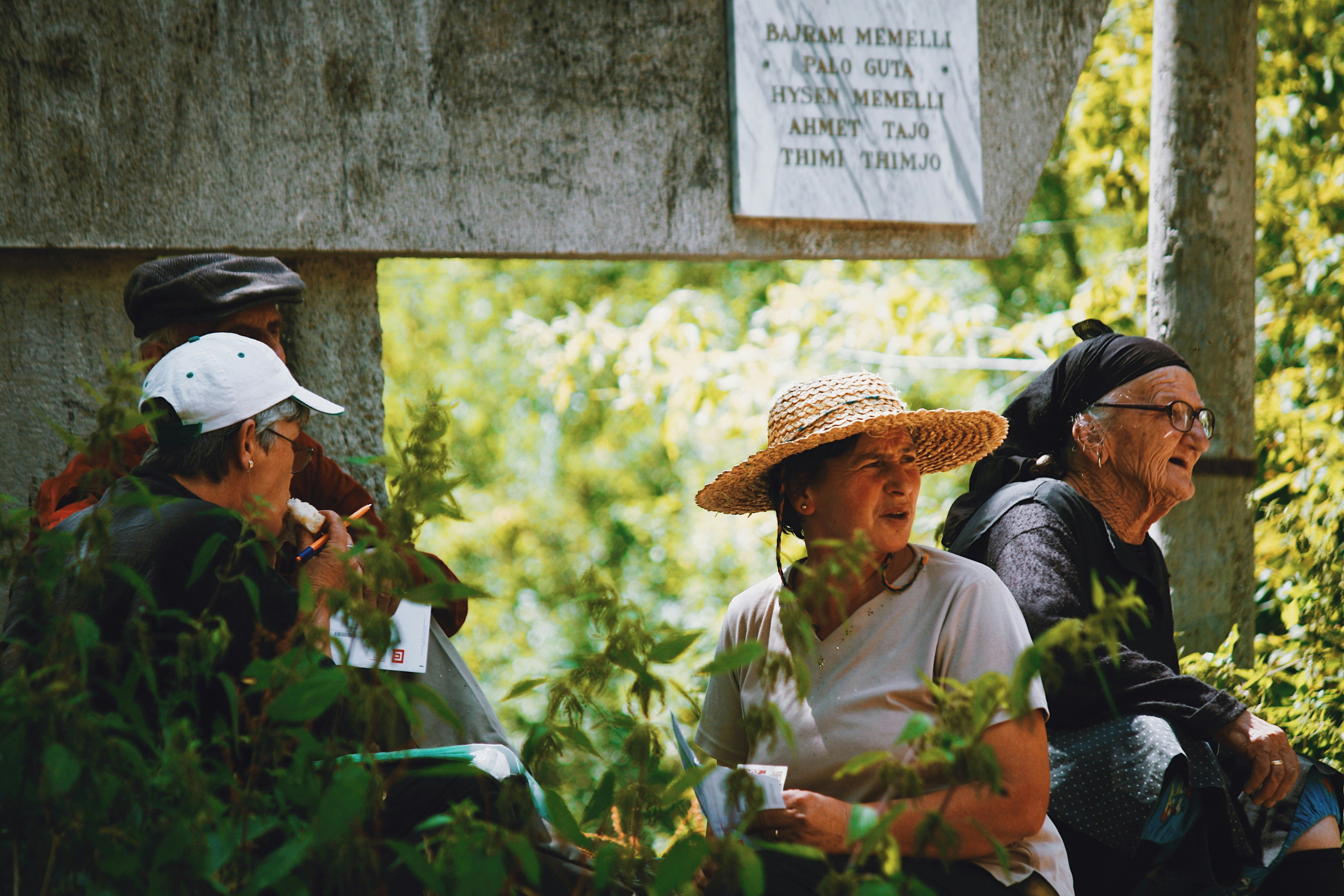 People working together near trees