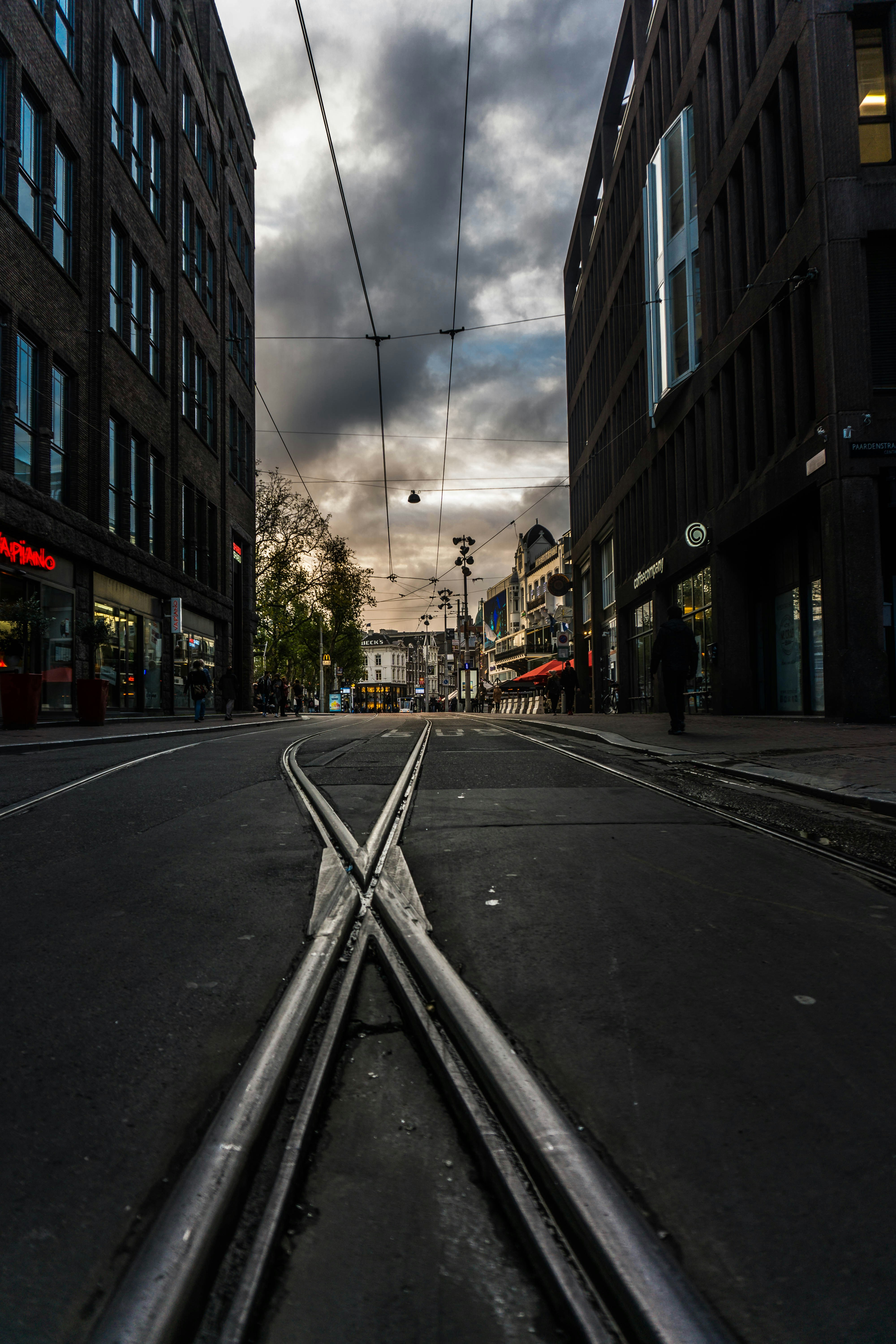 Photo by mitchelanneveldt