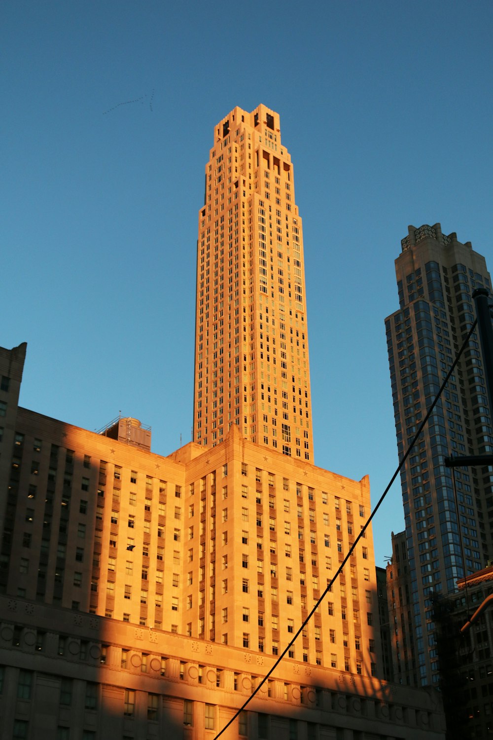 architectural photography of brown concrete building