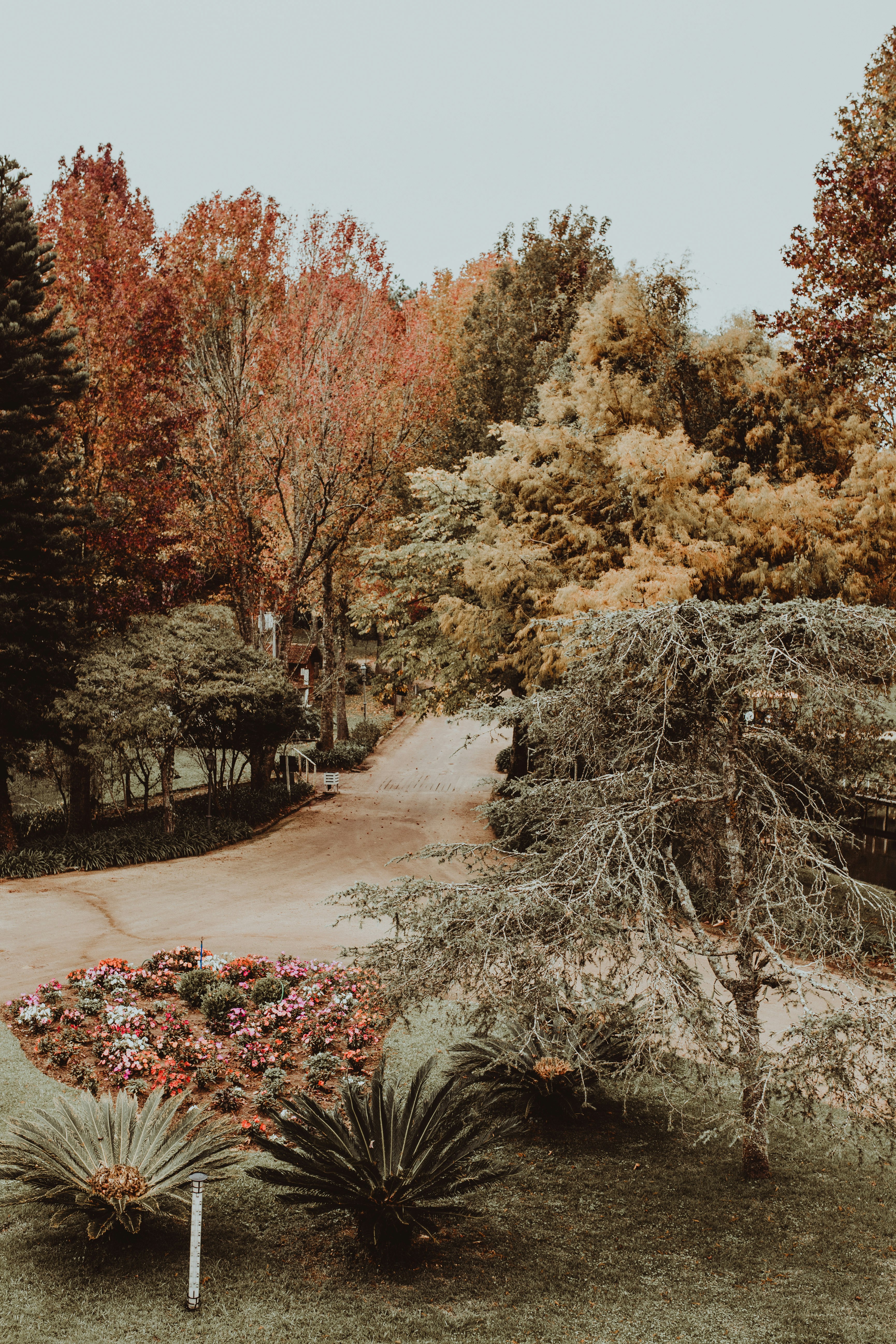 asphalt pathway