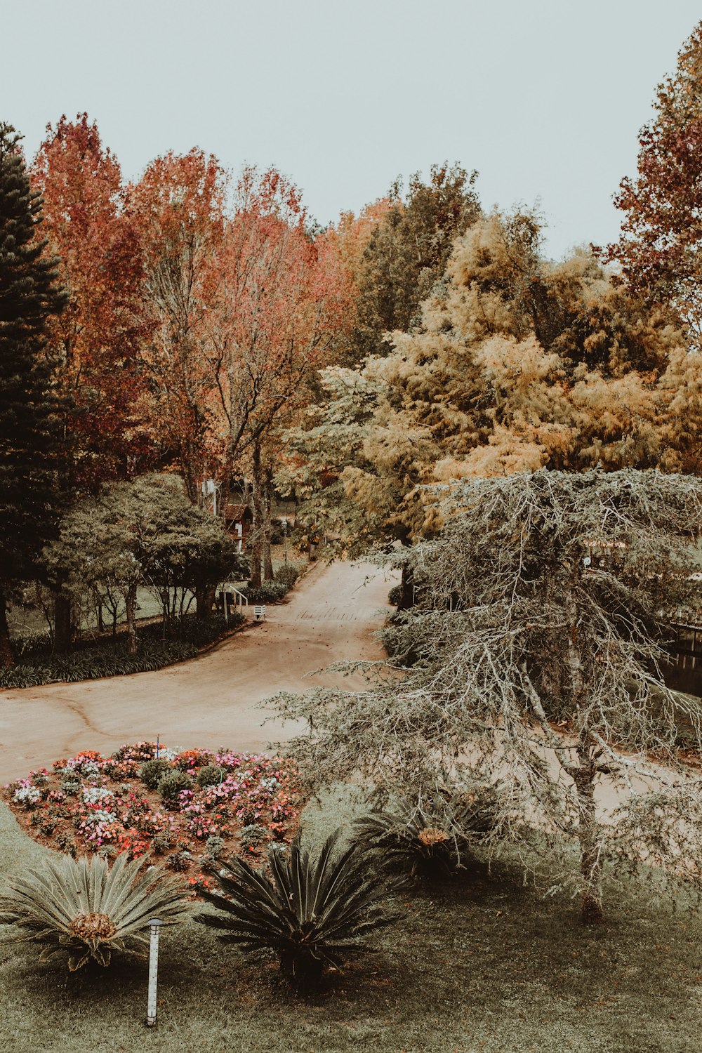 asphalt pathway