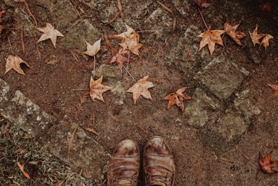 Stylish autumn ankle boots placed on a wooden pathway covered in leaves.