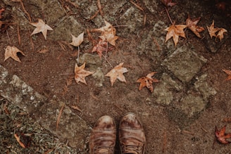 Stylish autumn ankle boots placed on a wooden pathway covered in leaves.