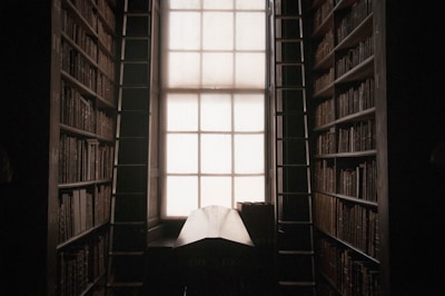A dimly lit library filled with tall bookshelves on either side, reaching towards the ceiling. In the center, a large window allows soft, diffused light to stream in. Two ladders stand beside the shelves, providing access to the higher shelves filled with numerous books.