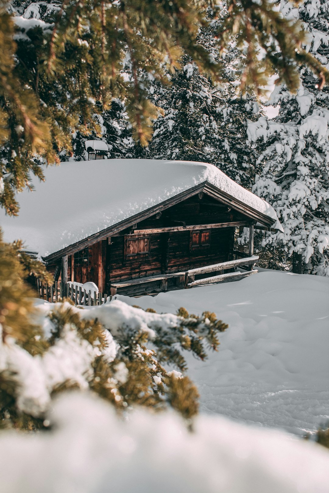 Forest cabin photo by Ole Witt (@rawcurve) on Unsplash Forest cabin photo by Ole Witt (@rawcurve) on Unsplash