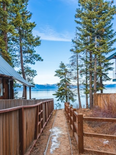 brown wooden fence beside tall trees