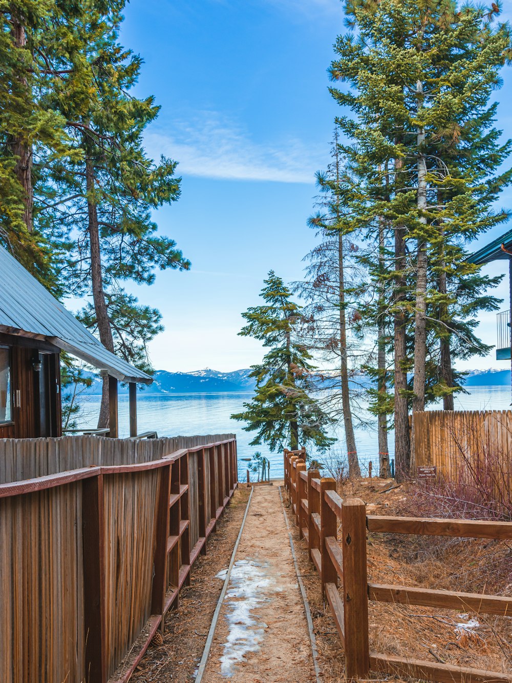 brown wooden fence beside tall trees