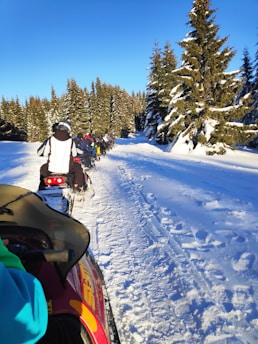 A line of snowmobiles travels through a snow-covered path surrounded by tall evergreen trees. The riders are wearing winter gear, and the sky is clear with bright blue tones.