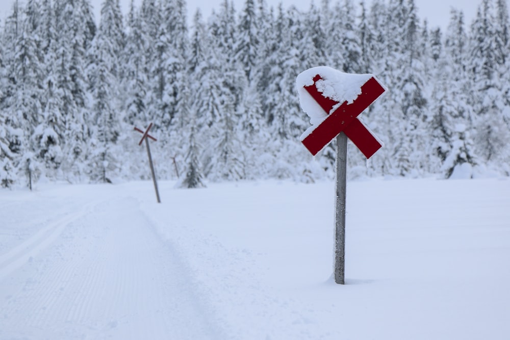 x sign near pine trees covered with snow