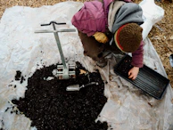 Gardener using a roller to press turf firmly into soil for perfect rooting.
