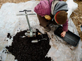 Gardener using a roller to press turf firmly into soil for perfect rooting.