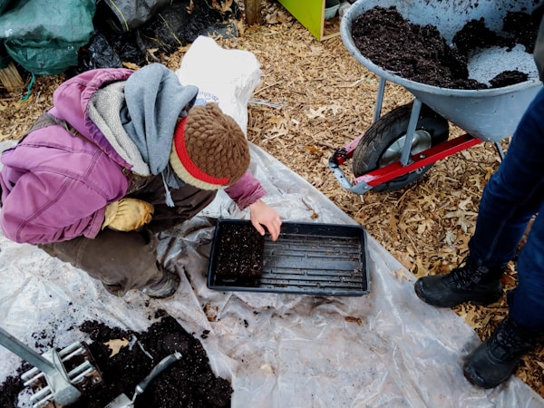 Essential Tips for Successful Planting