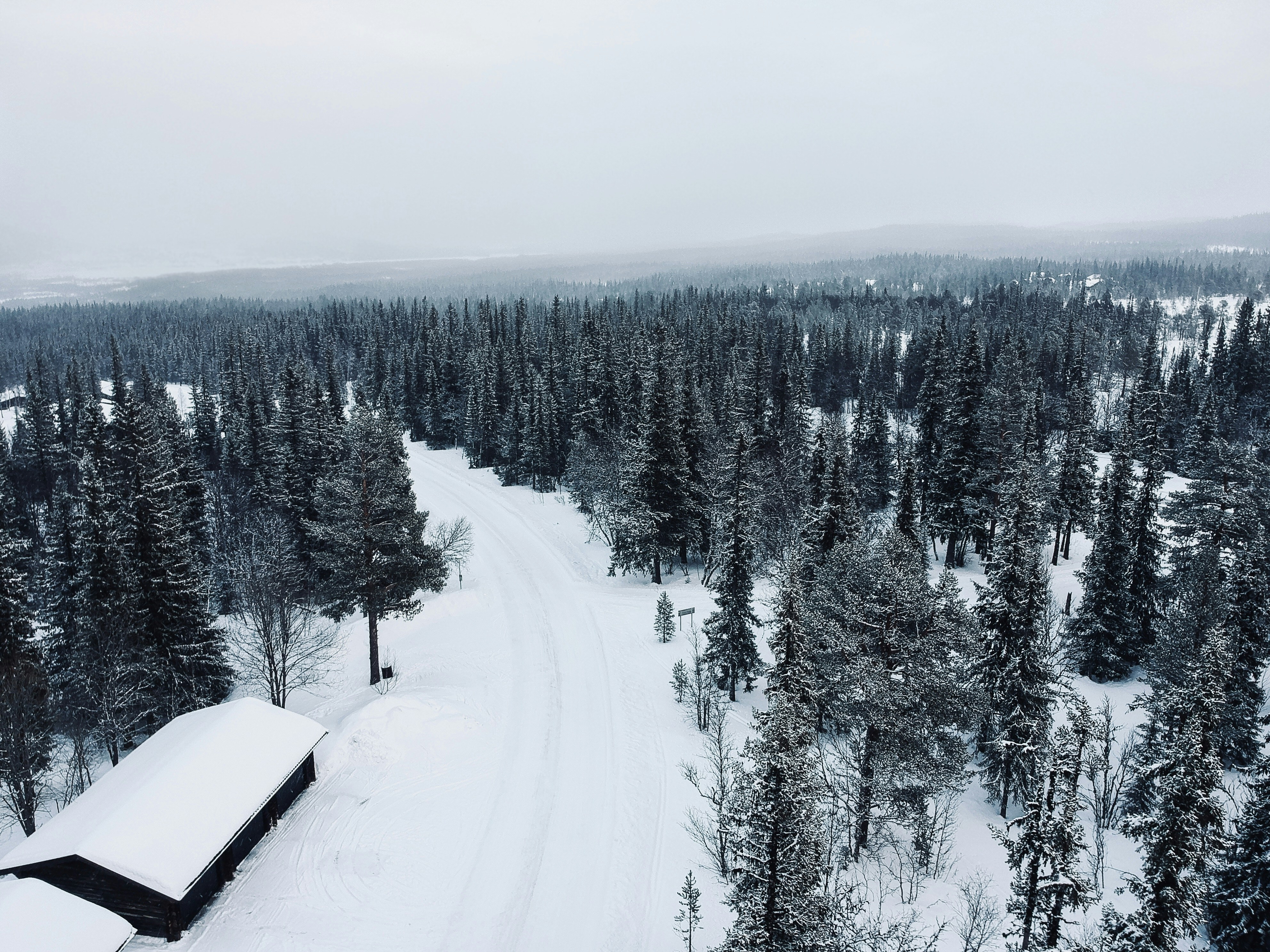brown and white house surrounded by trees during snow