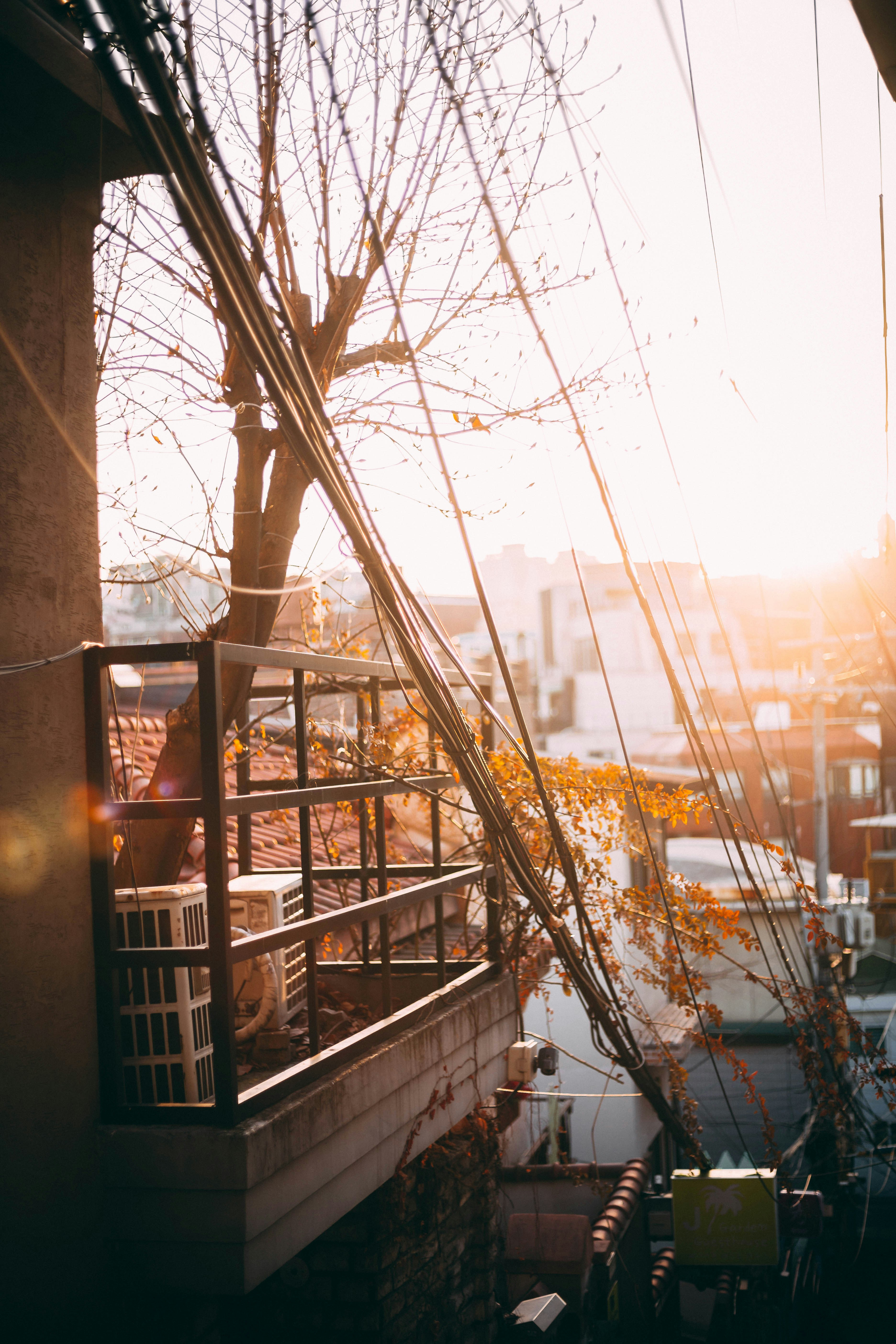 Photo by charlespostiaux