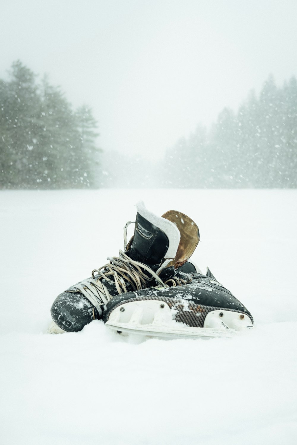 Paar schwarz-weiße Schlittschuhe umgeben von Schnee