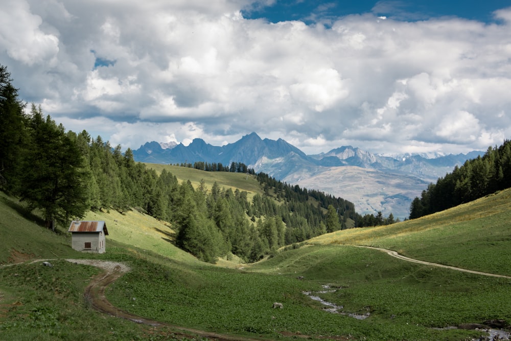 house on the hills