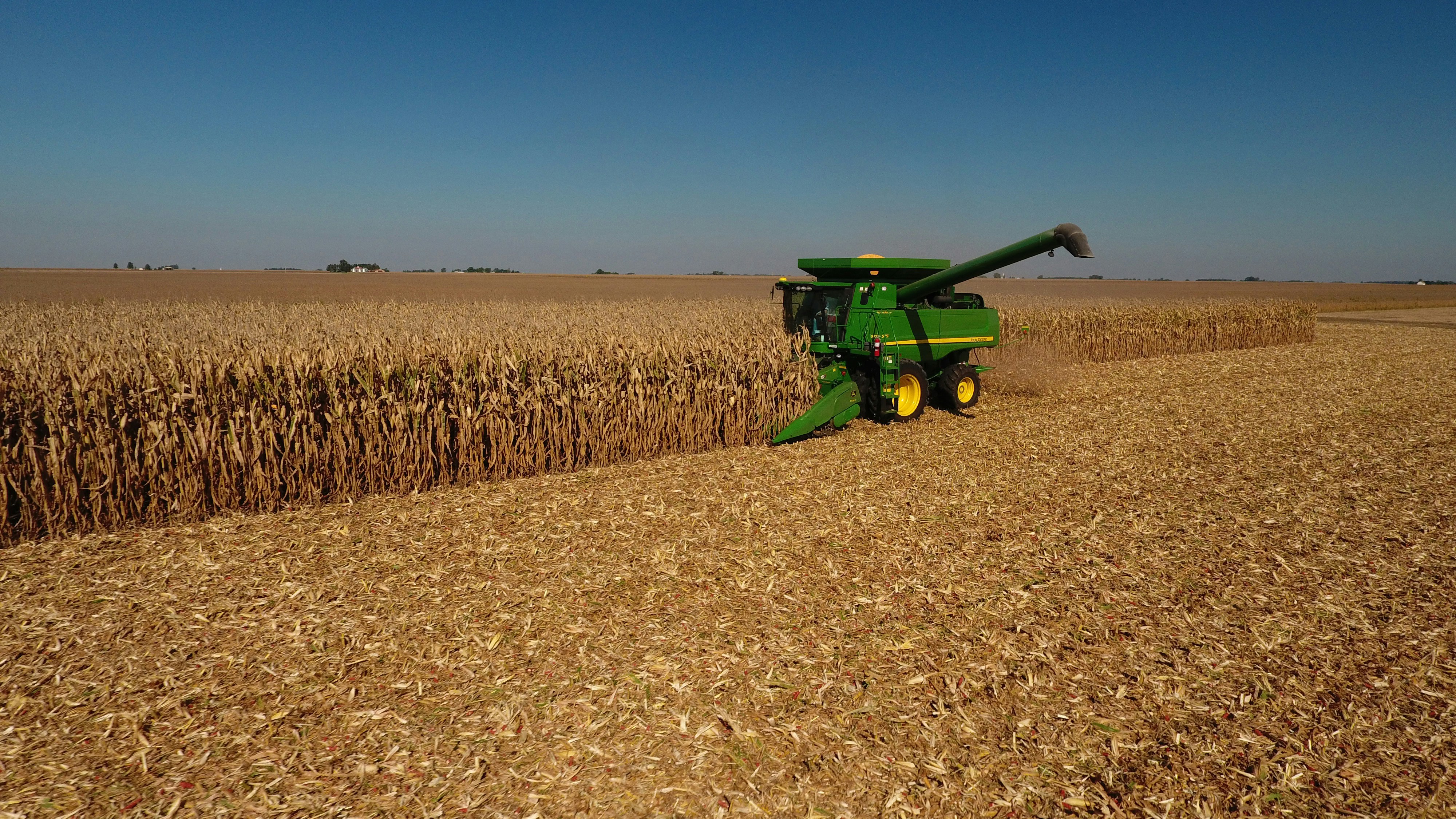 Weekly Grain update 11/6/22