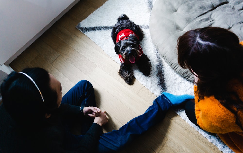 long-coated black dog lying on mat