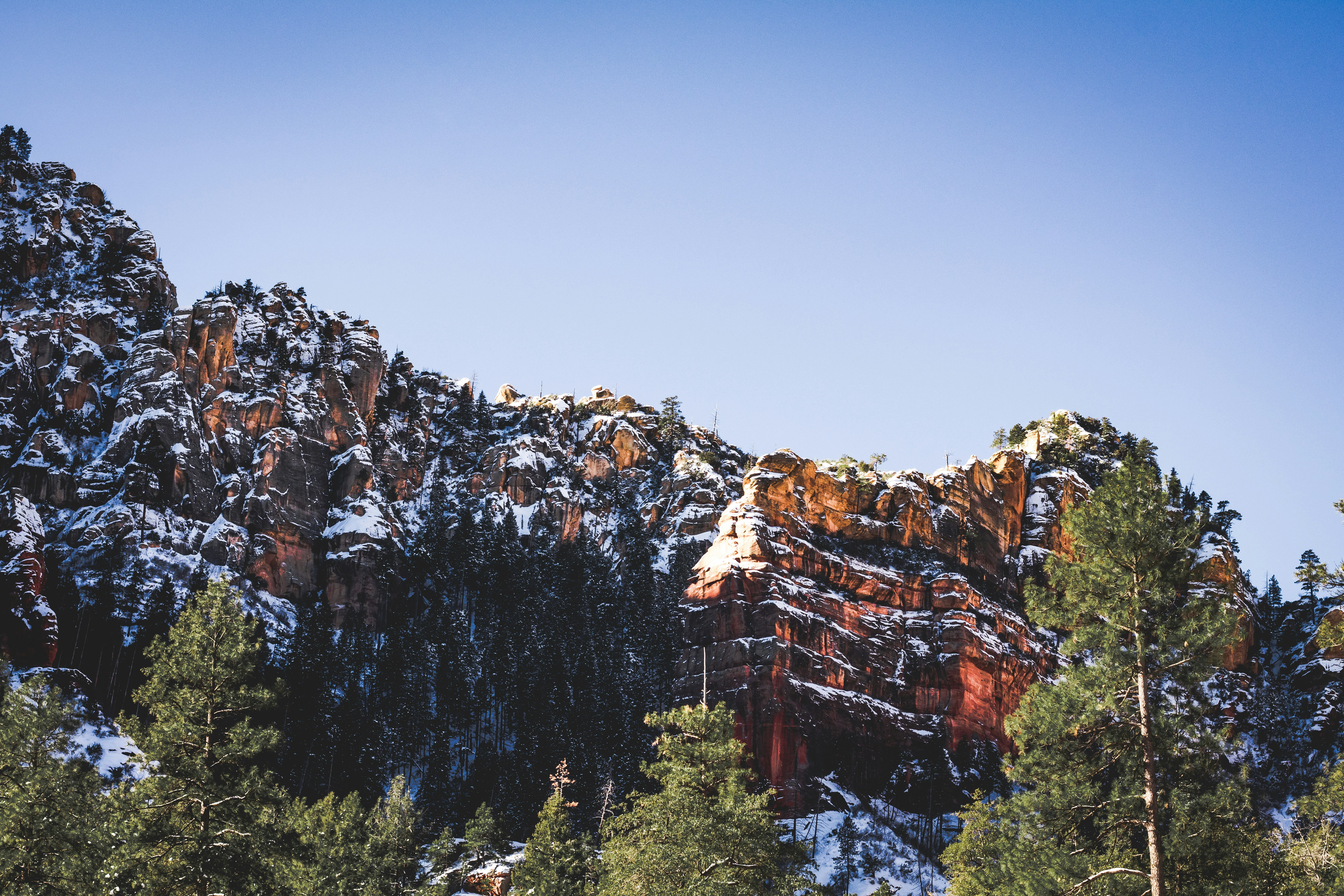 mountain surrounded by trees