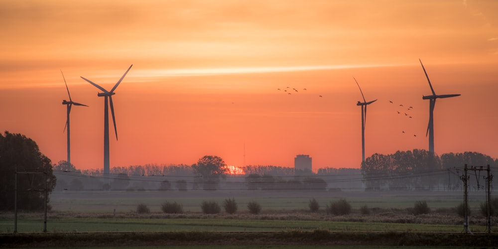 view of turbines during sunset