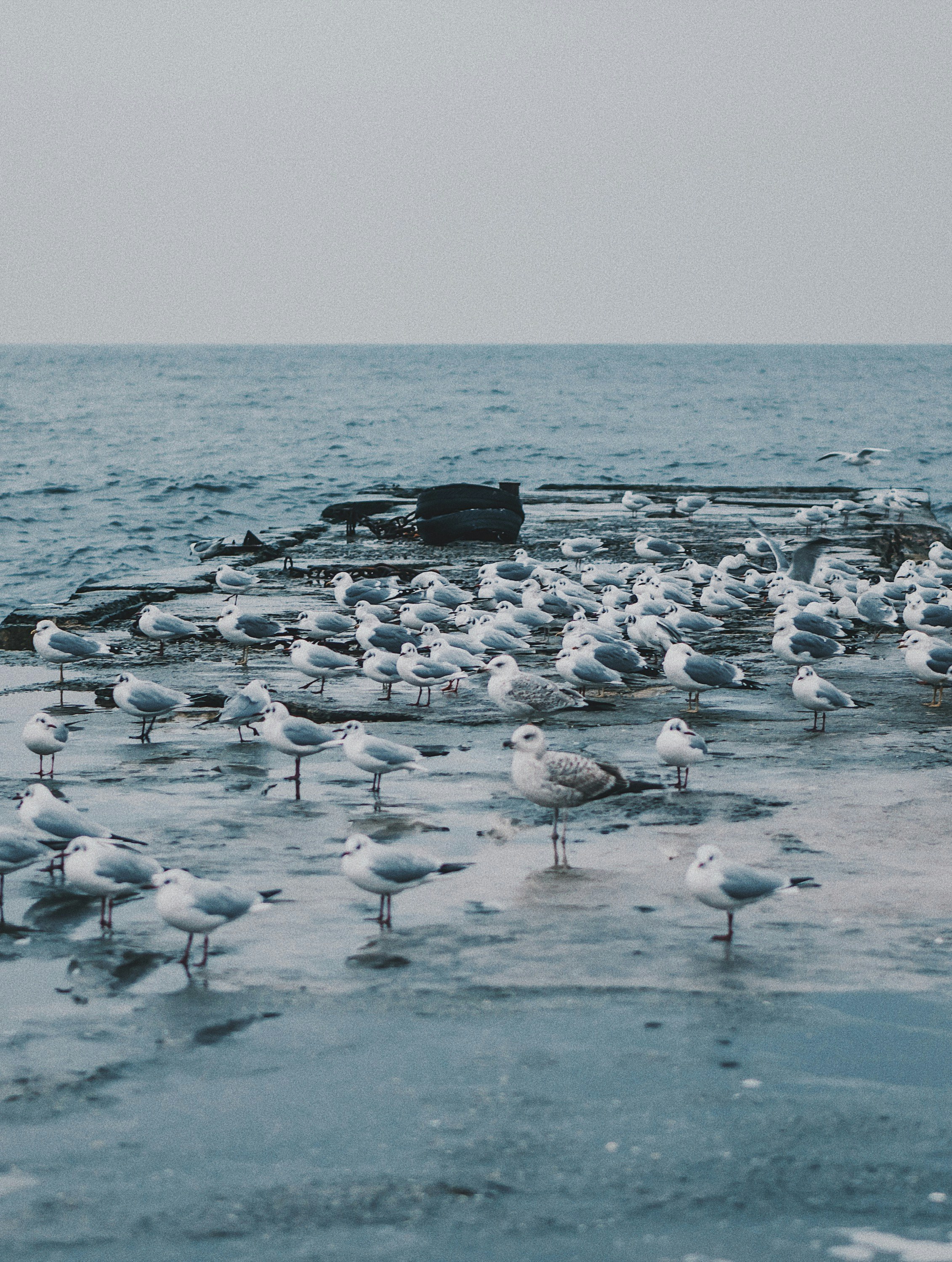Photo by olegivanovpht