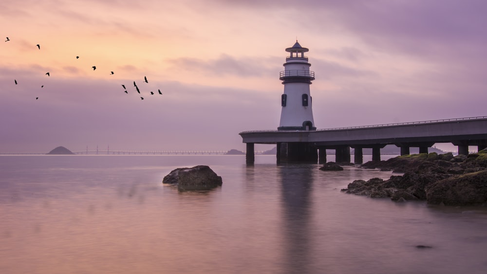 flock of flying birds and lighthouse