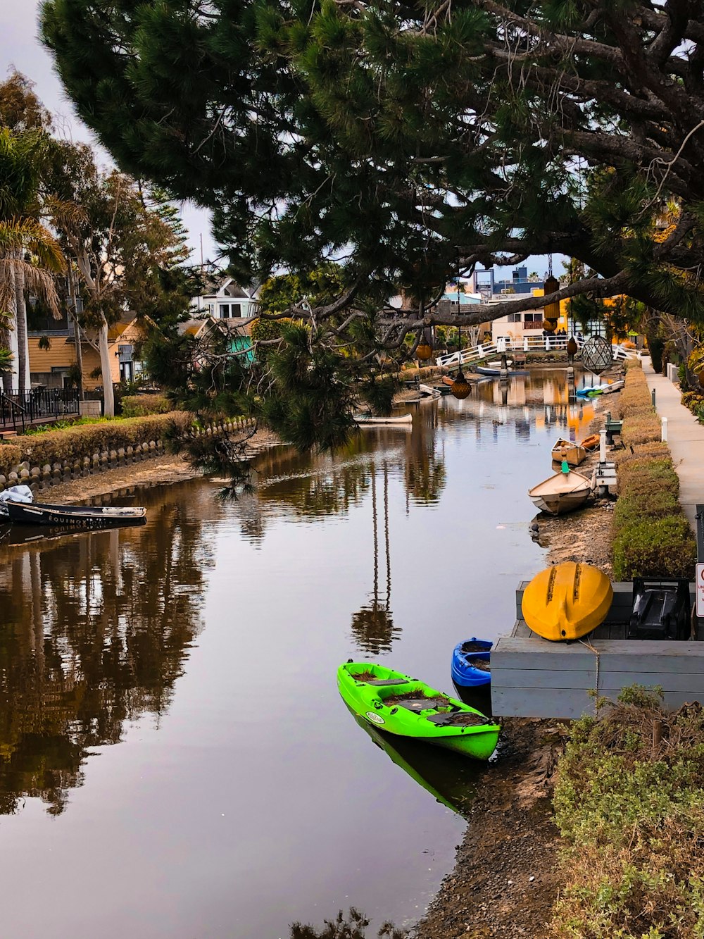 green kayak parked near tree