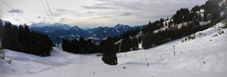 A bright ski slope dotted with skiers against a backdrop of snow-covered pine trees.