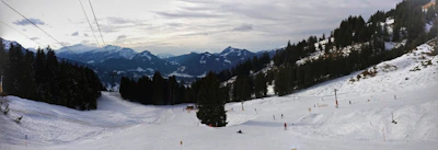 A bright ski slope dotted with skiers against a backdrop of snow-covered pine trees.