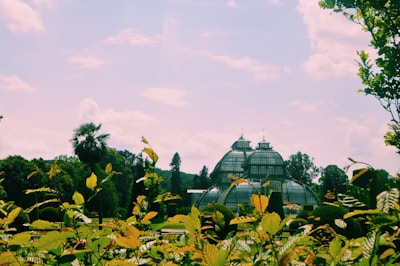 A sturdy greenhouse structure surrounded by thriving plants under clear skies.
