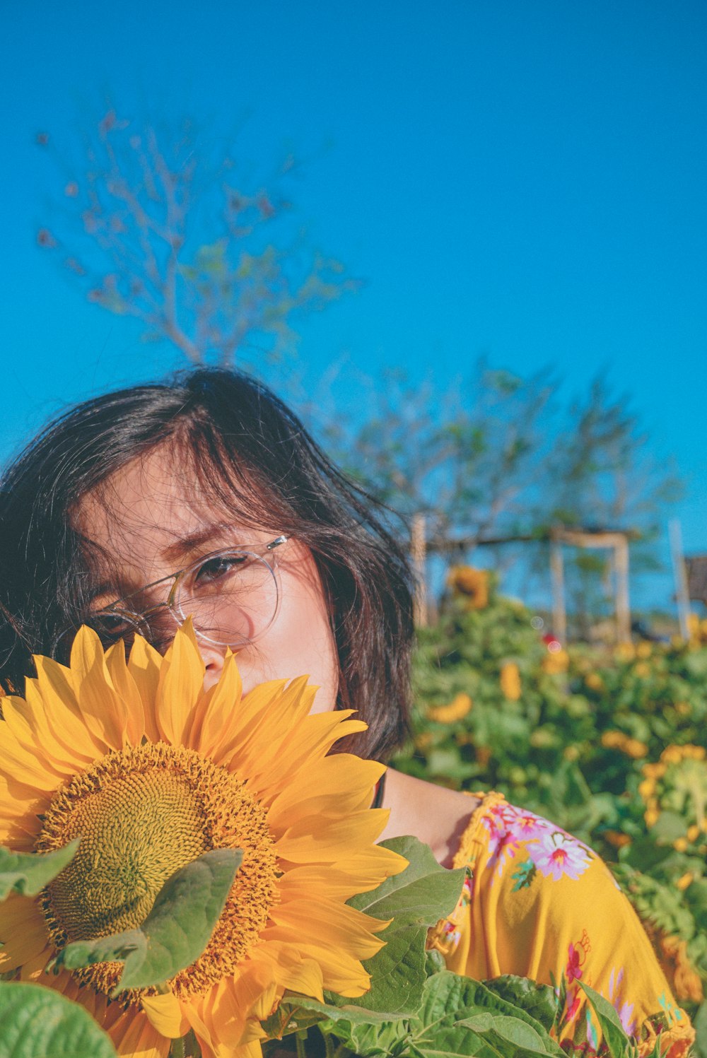 Mujer detrás del girasol amarillo en flor