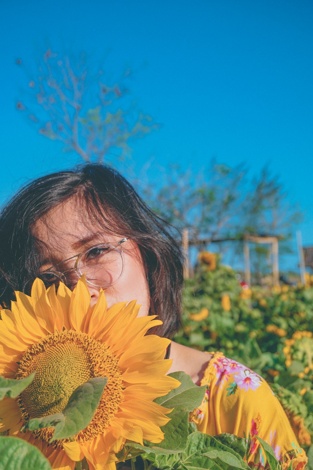 Frau hinter gelber Sonnenblume auf Blüte