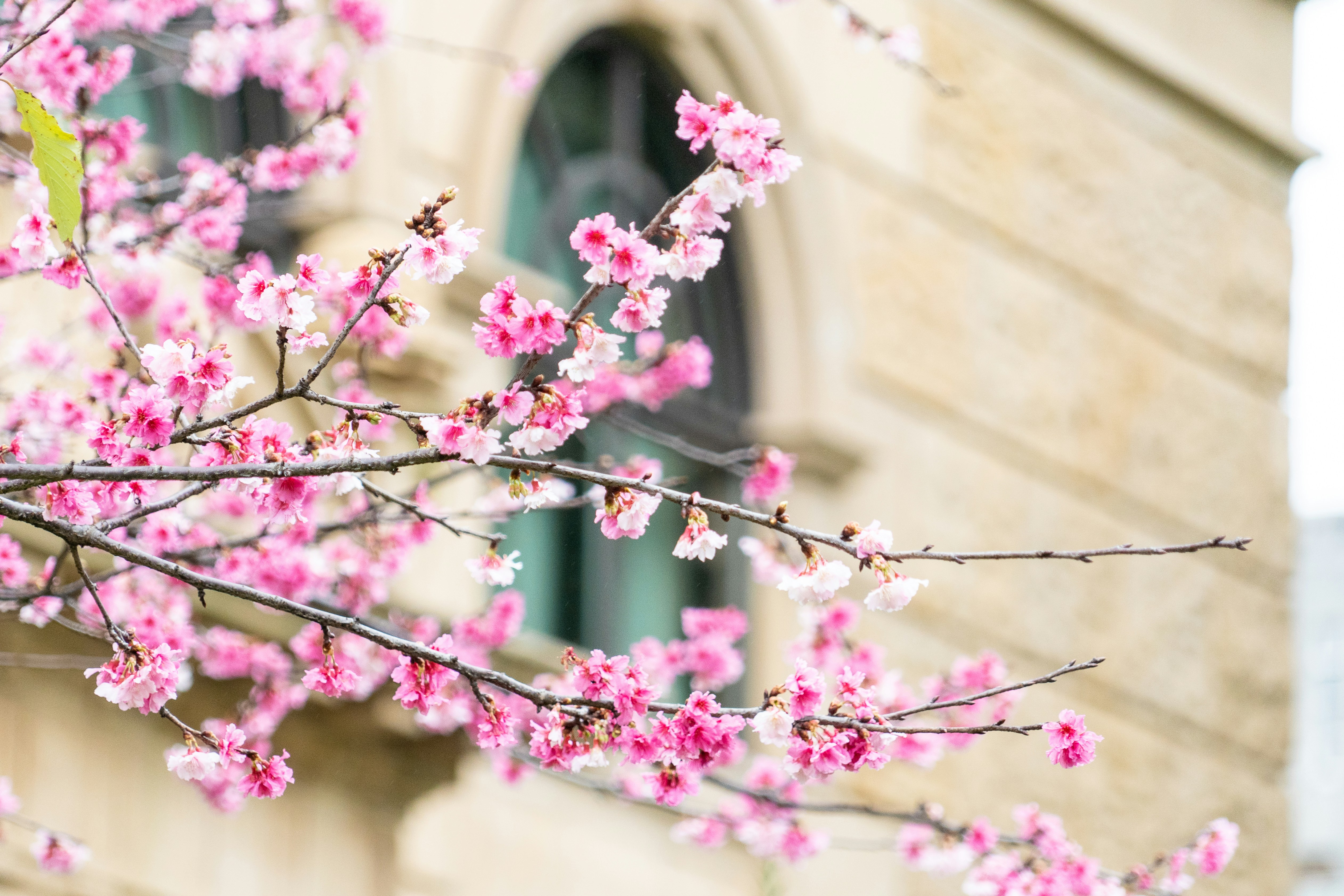 Photo by winstonchen