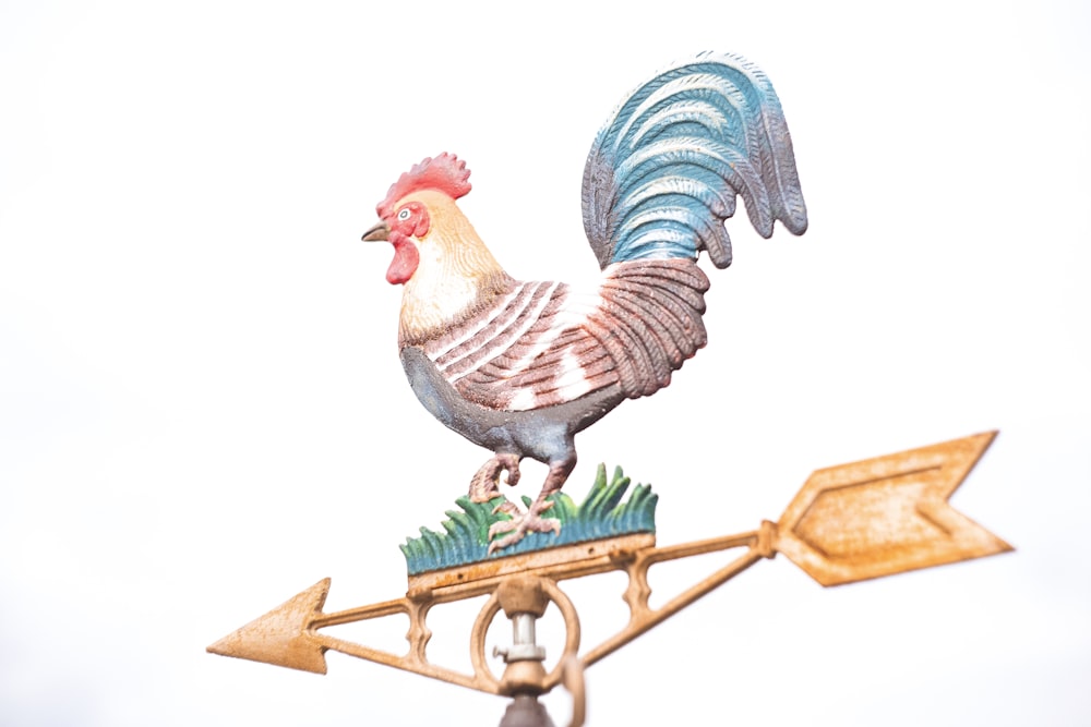 multicolored rooster tool