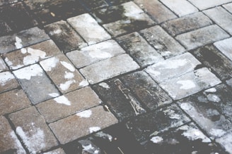 Close-up black and white shot of weathered cobblestones on a narrow Prague street, highlighting texture and shadow.