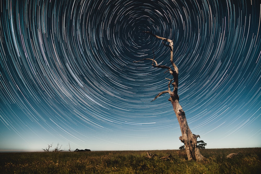 time lapse photo of sky