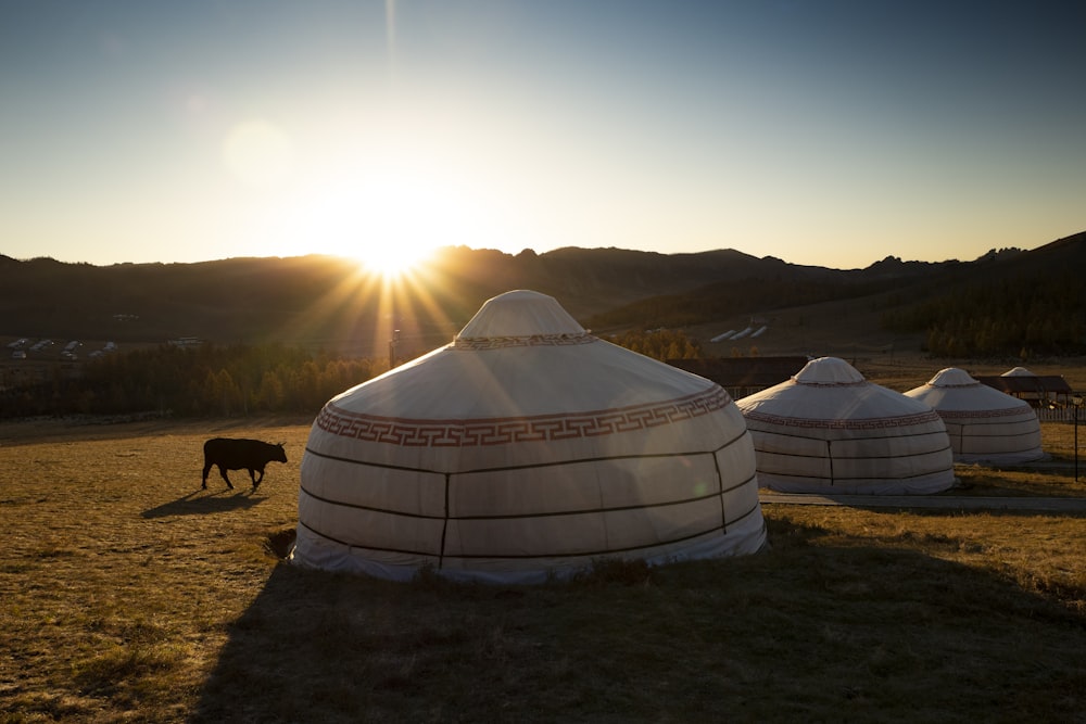 white tent in the middle of grass field