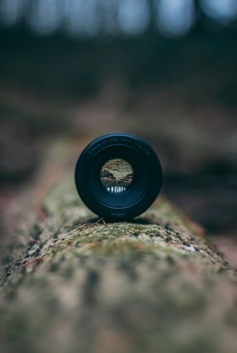 lenti della macchina fotografica