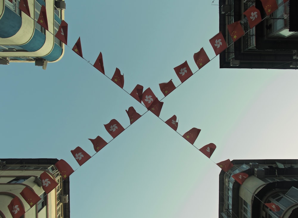 low angle photo of red buntings