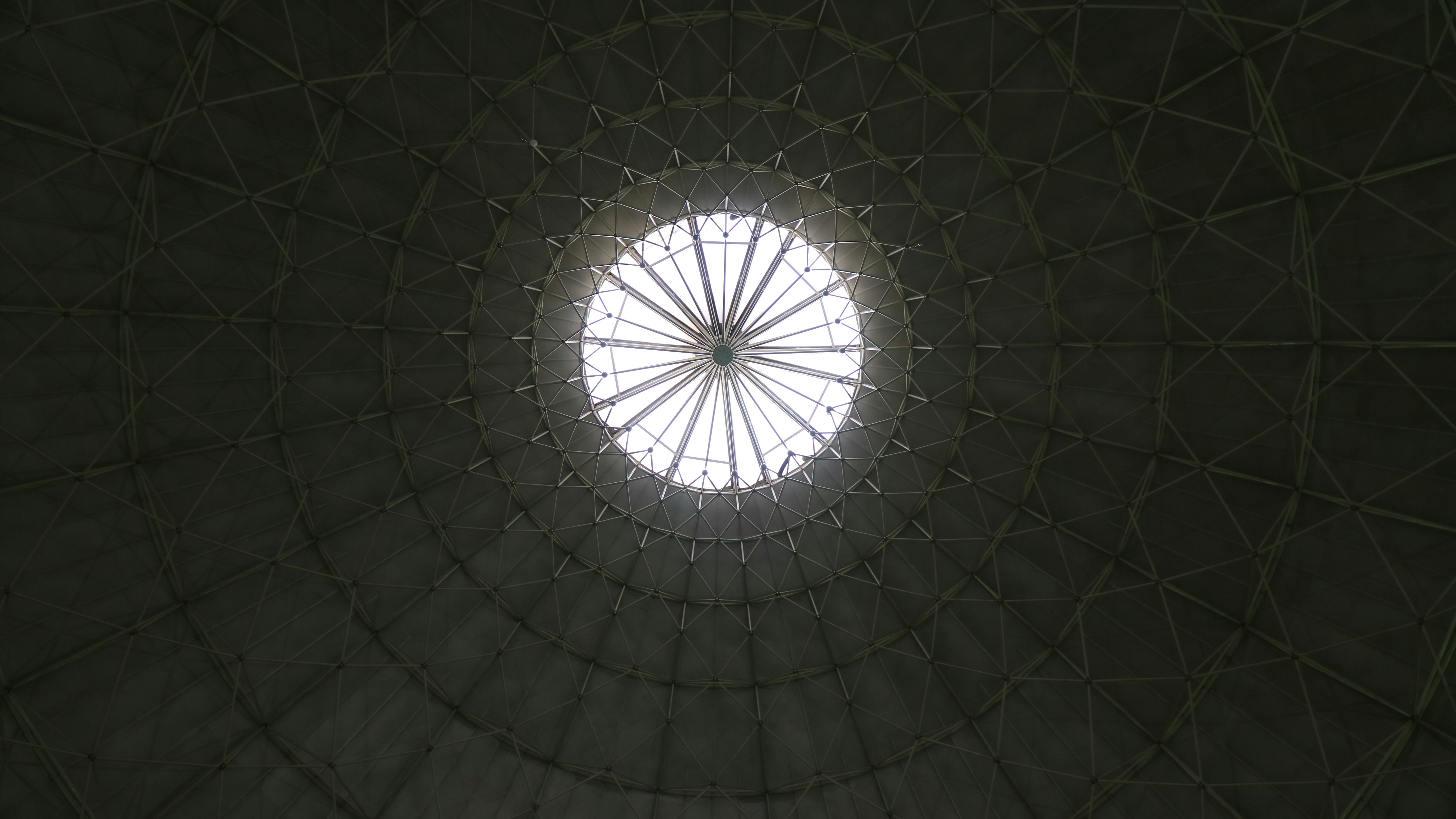 Photo by joaomirandaa