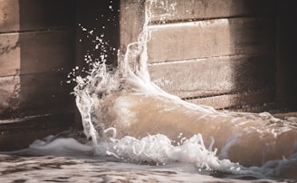 water waves