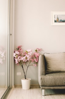 pink flowers beside sofa