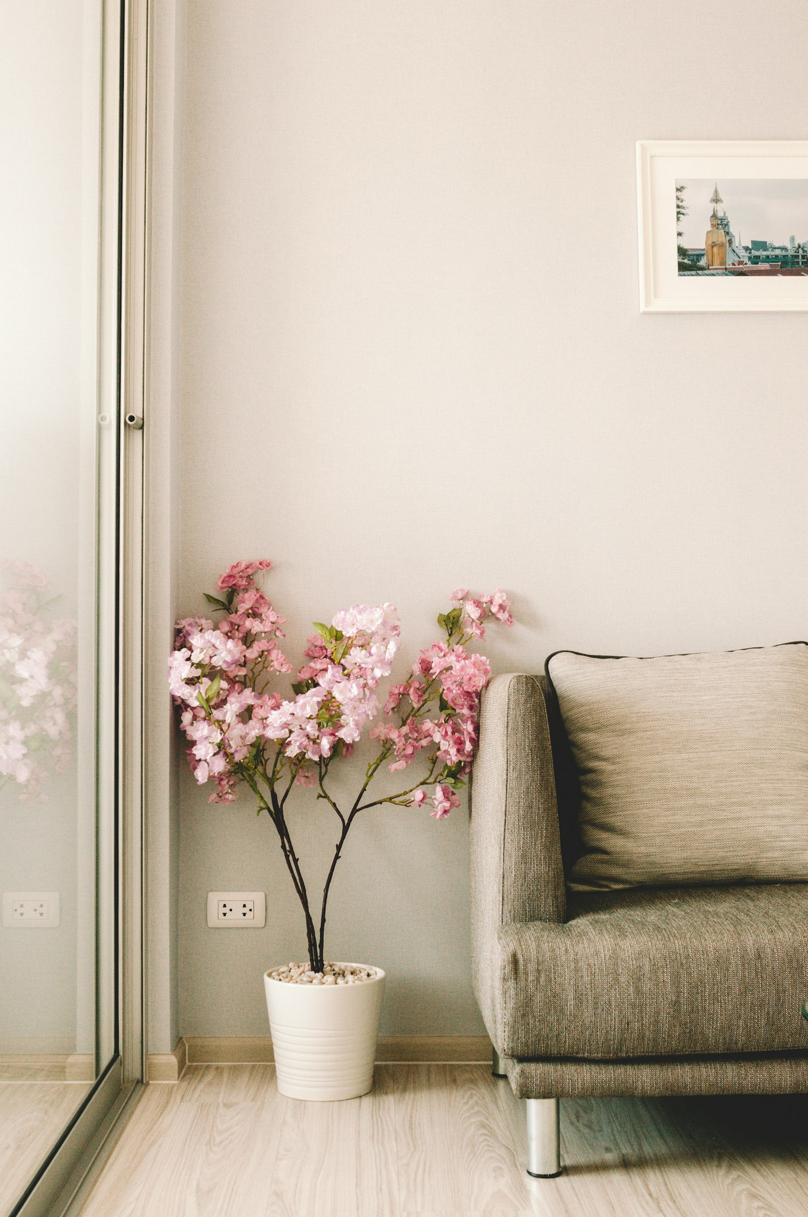 Nikon AF-S Nikkor 28mm F1.8G sample photo. Pink flowers beside sofa photography