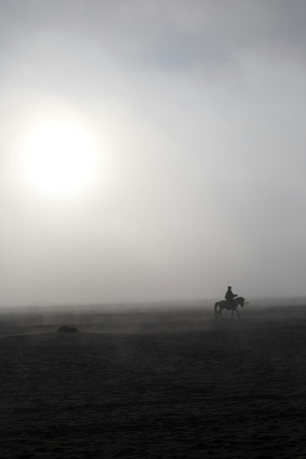 person riding horse