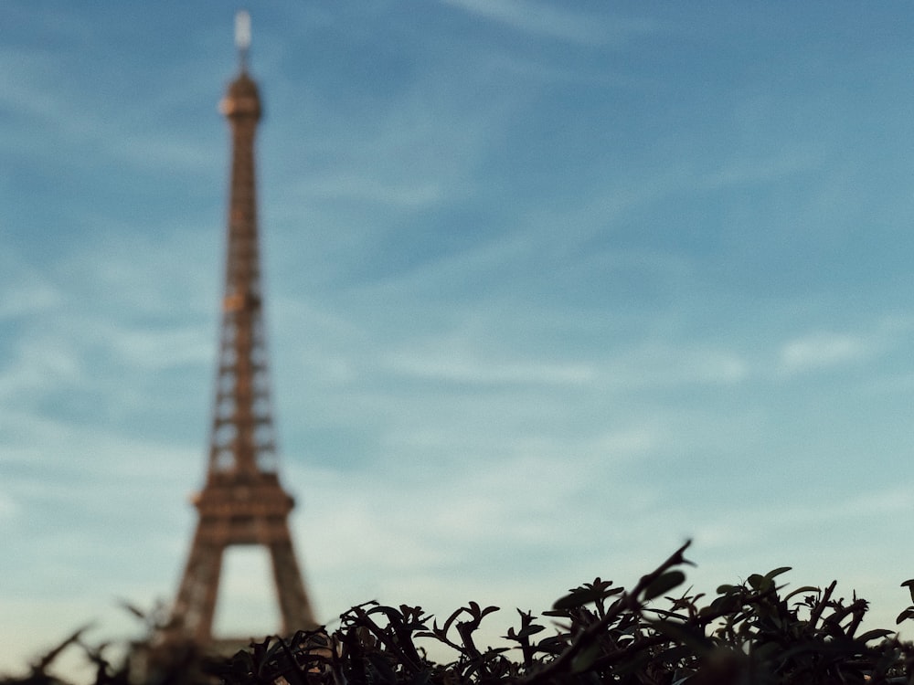 Eiffel Tower, Paris