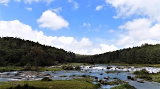A serene landscape with fluffy white clouds floating above a tranquil valley.